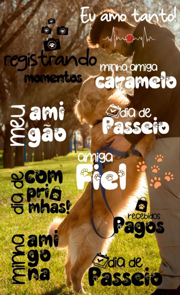 Exemplos de figurinhas sobre Pets